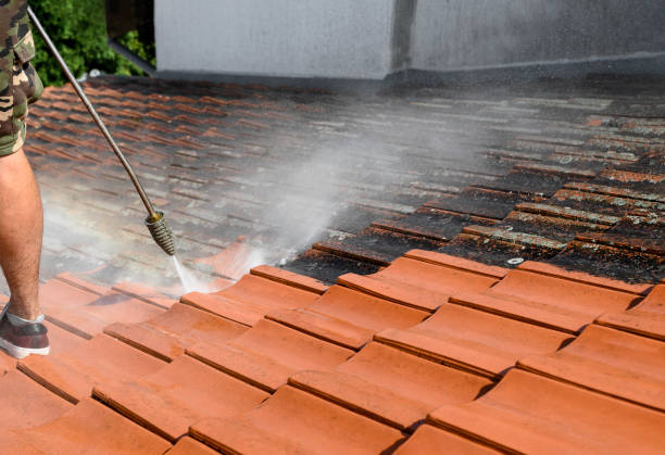 Best Affordable Pressure Washing  in Snow Hill, NC